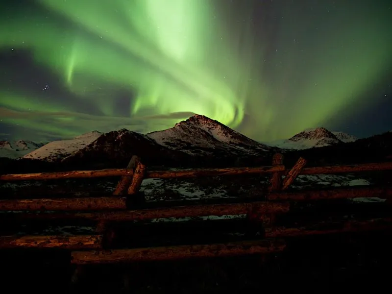 Anchorage, ghé thăm thành phố thú vị bật nhất Alaska