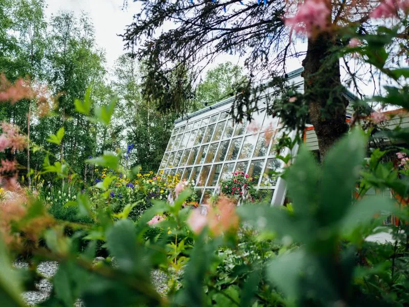 Anchorage, ghé thăm thành phố thú vị bật nhất Alaska