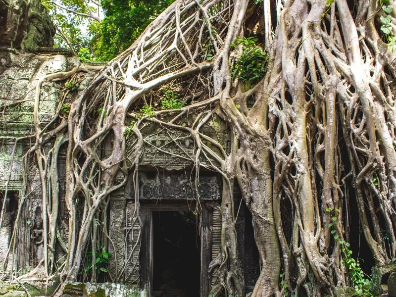 Angkor Wat: Hành trình khám phá “trái tim” của Campuchia