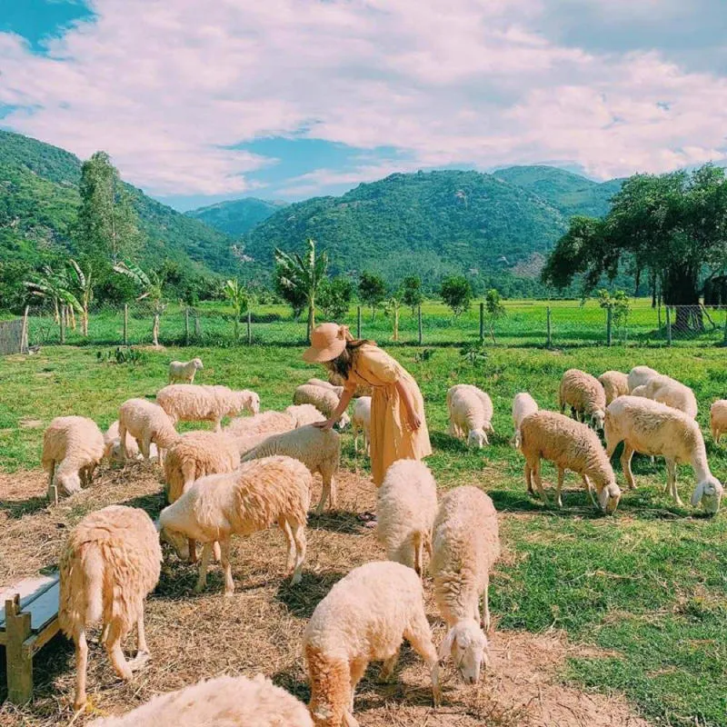 Bật mí Nha Trang có gì chơi và những trải nghiệm độc đáo nhất