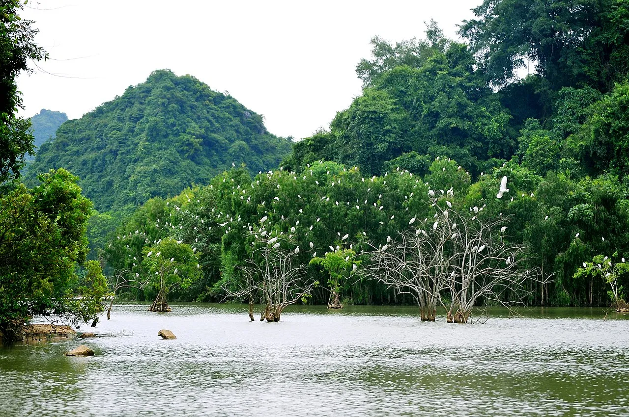 Chiêm ngưỡng vẻ đẹp nguyên sơ tại khu du lịch sinh thái Thung Nham – Ninh Bình