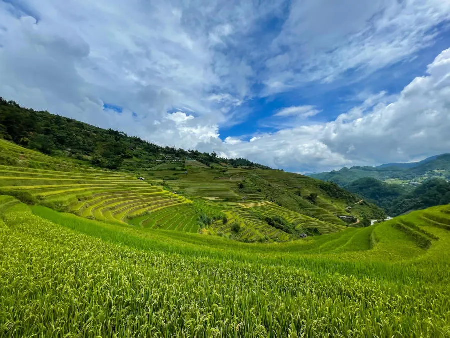 Chinh phục Mù Cang Chải khám phá tất tần tật những điểm đến hấp dẫn