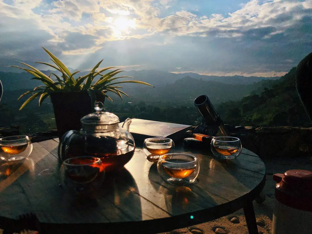 Cỏ Tea & Coffee – Thưởng thức cà phê giữa lưng chừng đồi