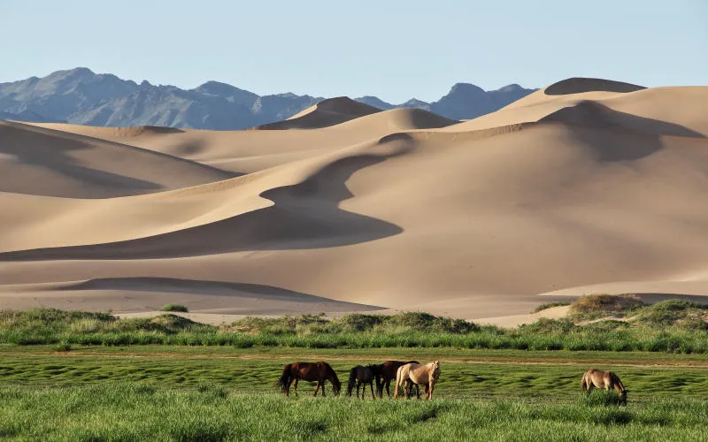 Đến sa mạc Gobi hòa mình vào thiên nhiên hoang dã đầy kỳ thú