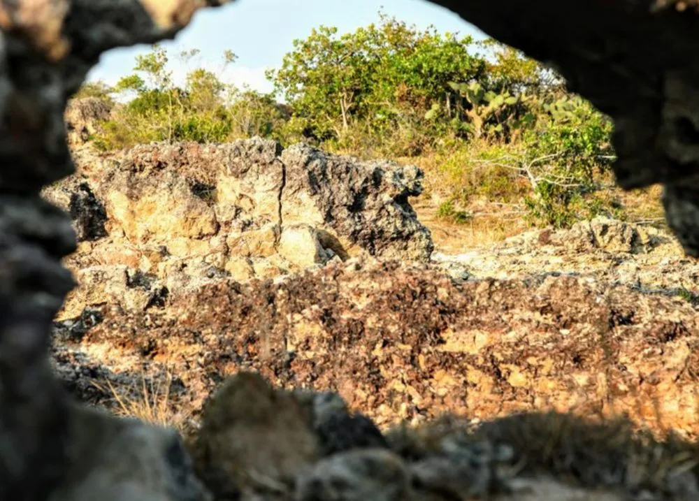 Ghé thăm bãi đá Karang Ninh Thuận, bãi san hô cổ vô giá hàng triệu năm