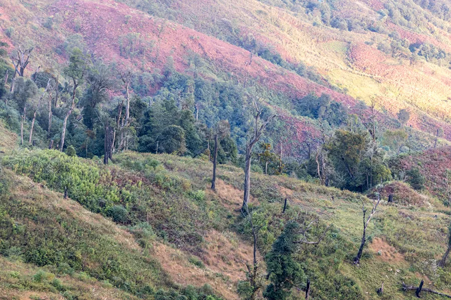 Hành trình trekking Lảo Thẩn khám phá thiên nhiên tuyệt đẹp