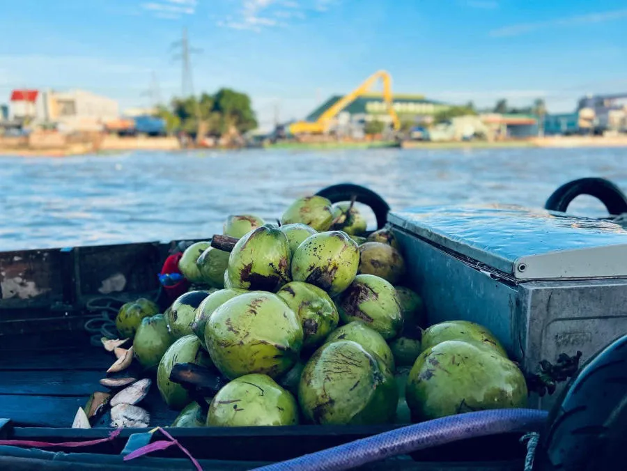 Khám phá Chợ nổi Cái Răng, nét đặc sắc của riêng miền Tây sông nước