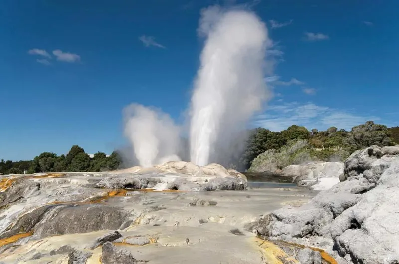 Khám phá Rotorua, thành phố độc đáo và kỳ lạ của New Zealand