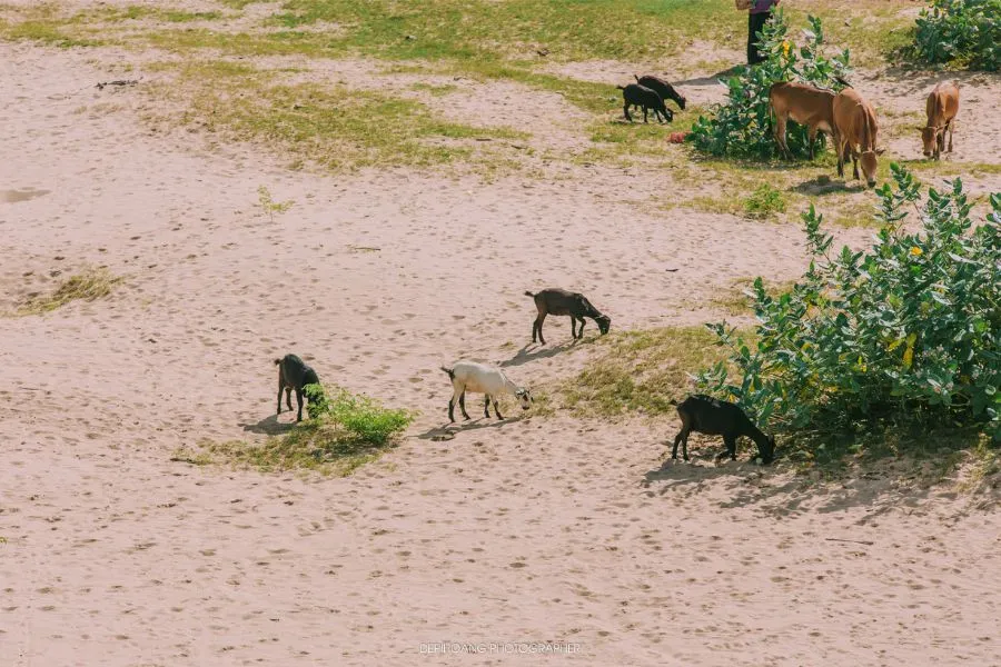 Lang thang Kon Tum khám phá bức tranh hùng vĩ nơi đại ngàn bình yên