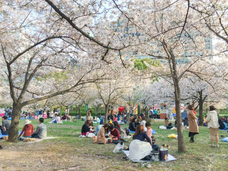 Lâu đài Osaka chứng nhân qua bao thăng trầm trong lịch sử Nhật Bản