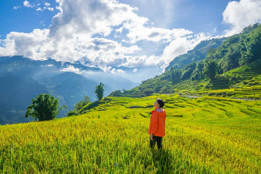 Một mùa vàng Y Tý huyền ảo giữa đại ngàn Tây Bắc nên thơ