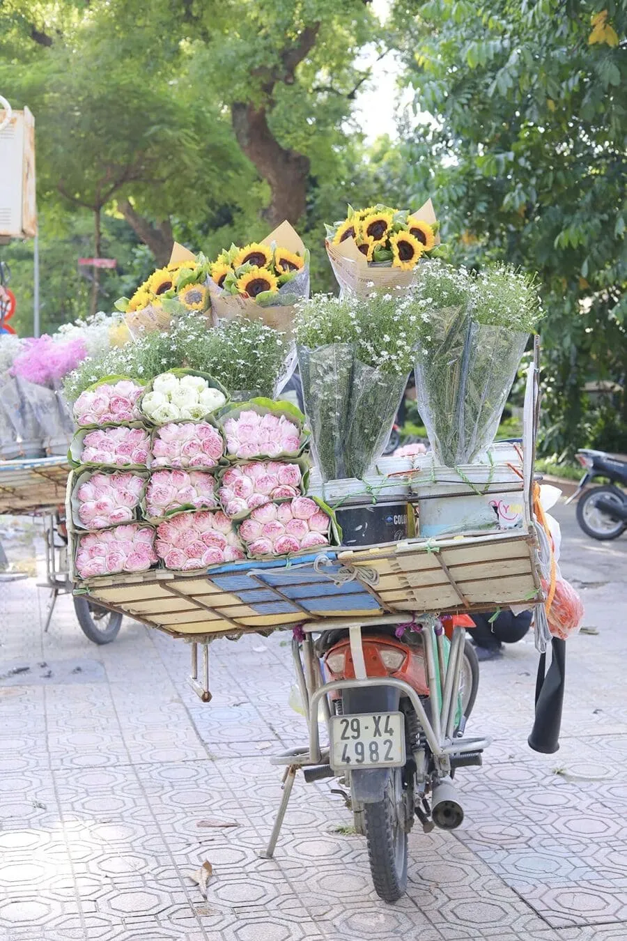 Mùa thu Hà Nội, vẻ đẹp lãng đãng tựa như lời hát ru