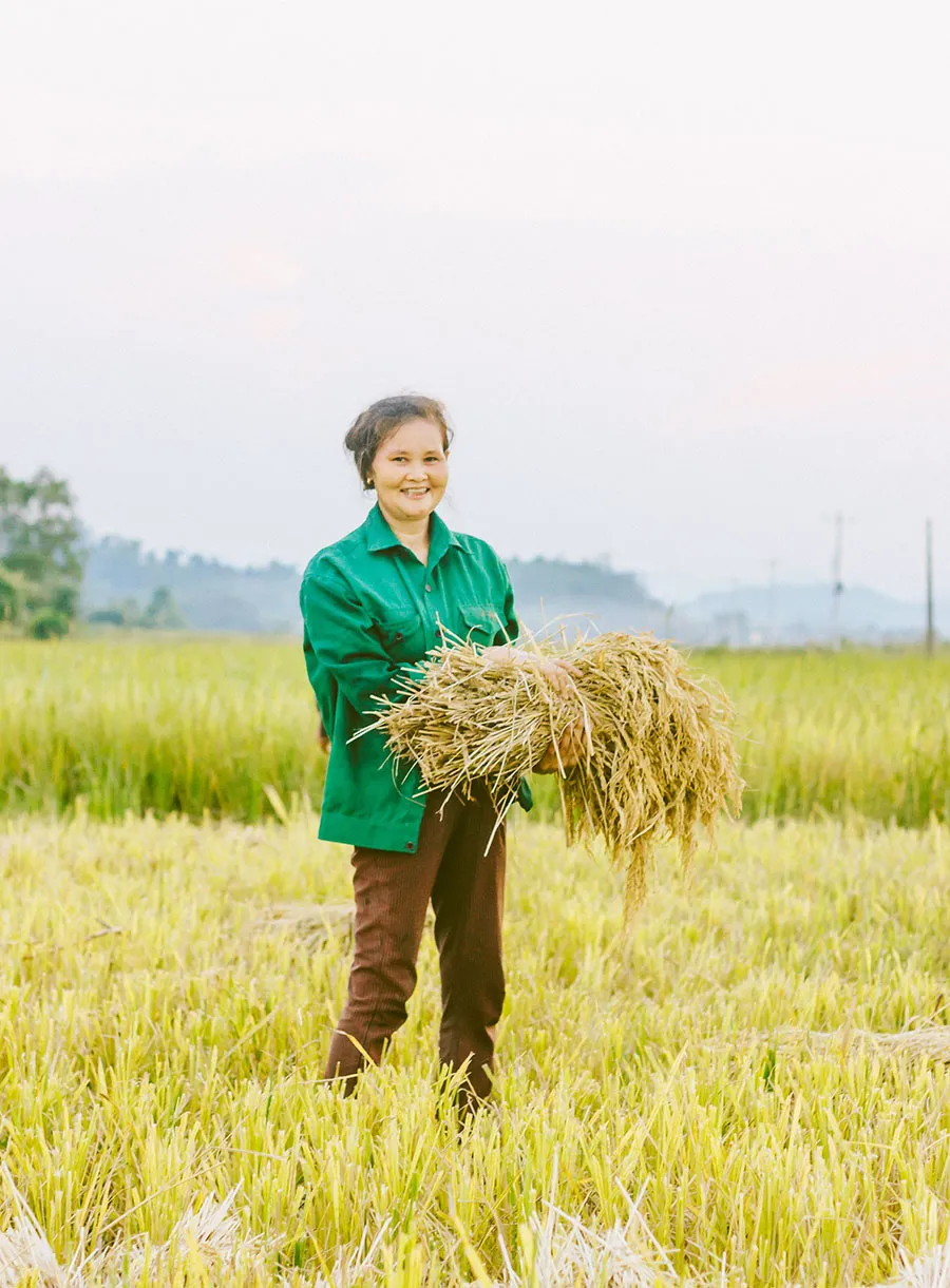 Nghe Cáp Lộc Hàn Vũ review Quảng Bình vào những chiều êm ả như ru