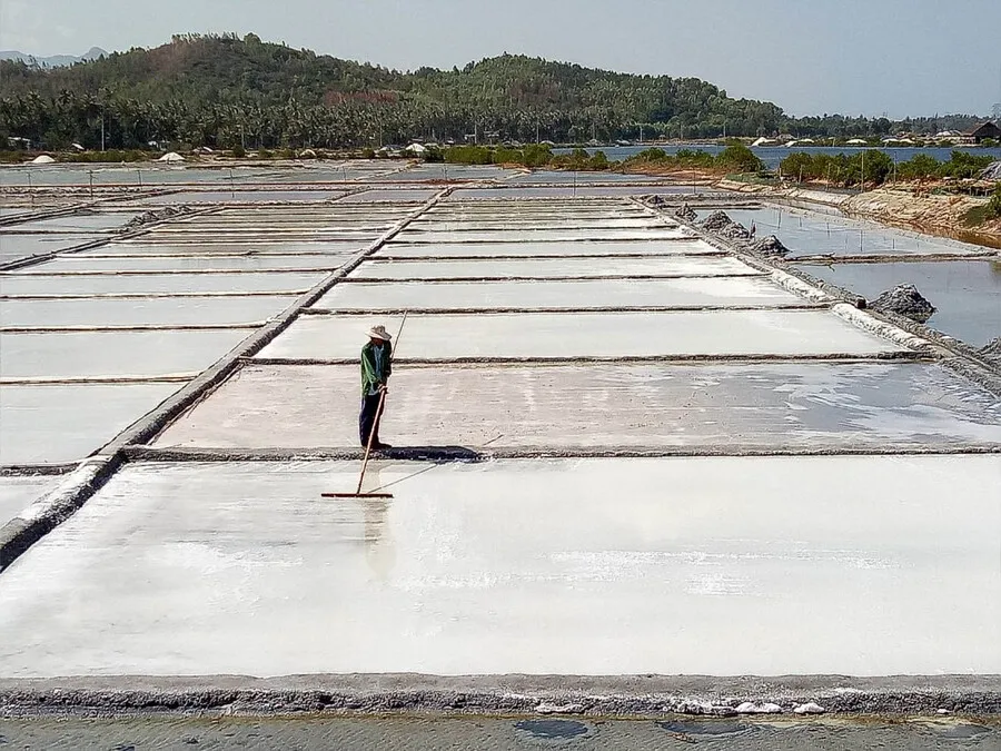 Nghề làm muối Tuyết Diêm, bức tranh lao động thanh bình giữa trời Phú Yên