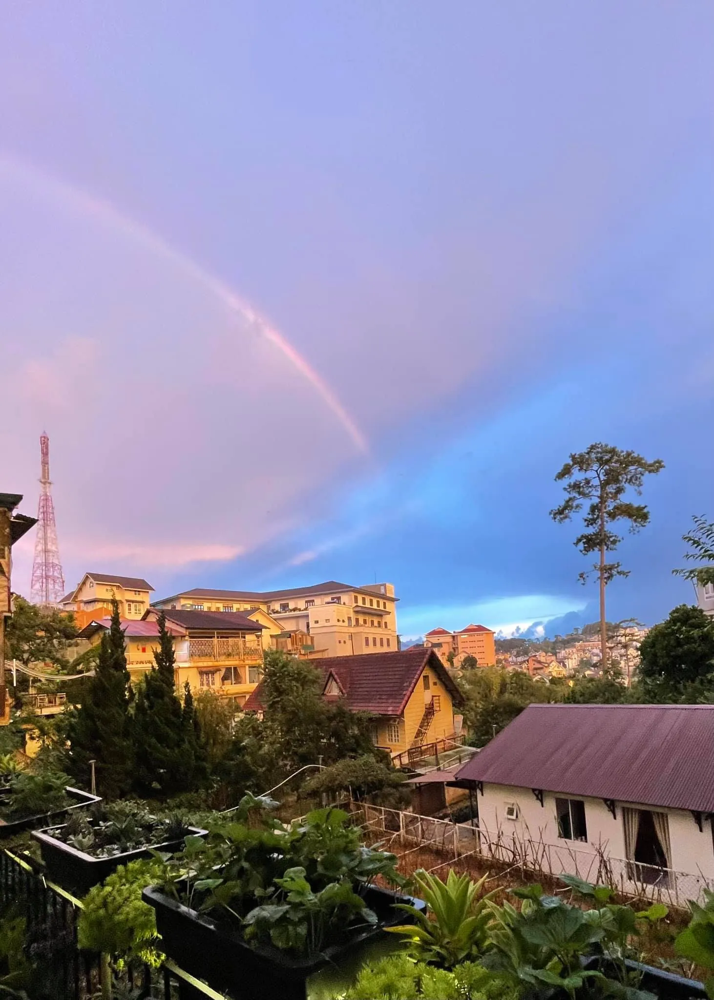 Nhà Lồng Coffee – Quán café lung linh với view thung lũng cực đẹp