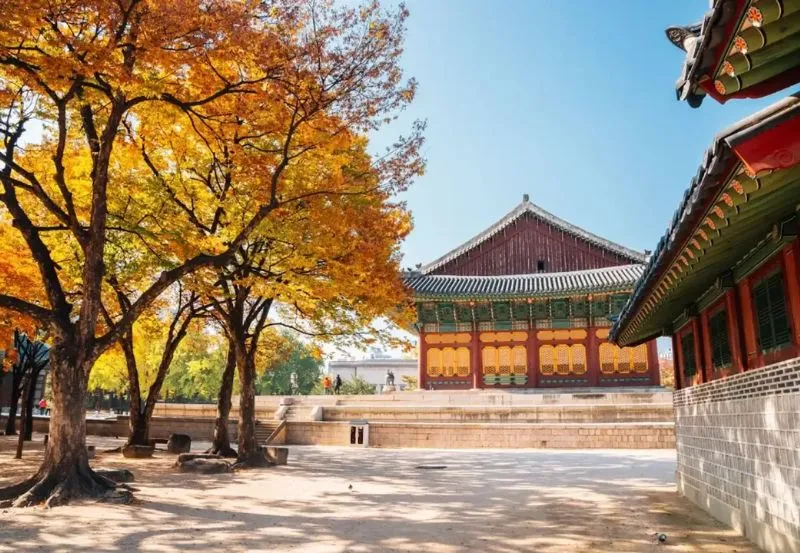 Tháp Namsan, biểu tượng du lịch số 1 tại xứ sở kim chi