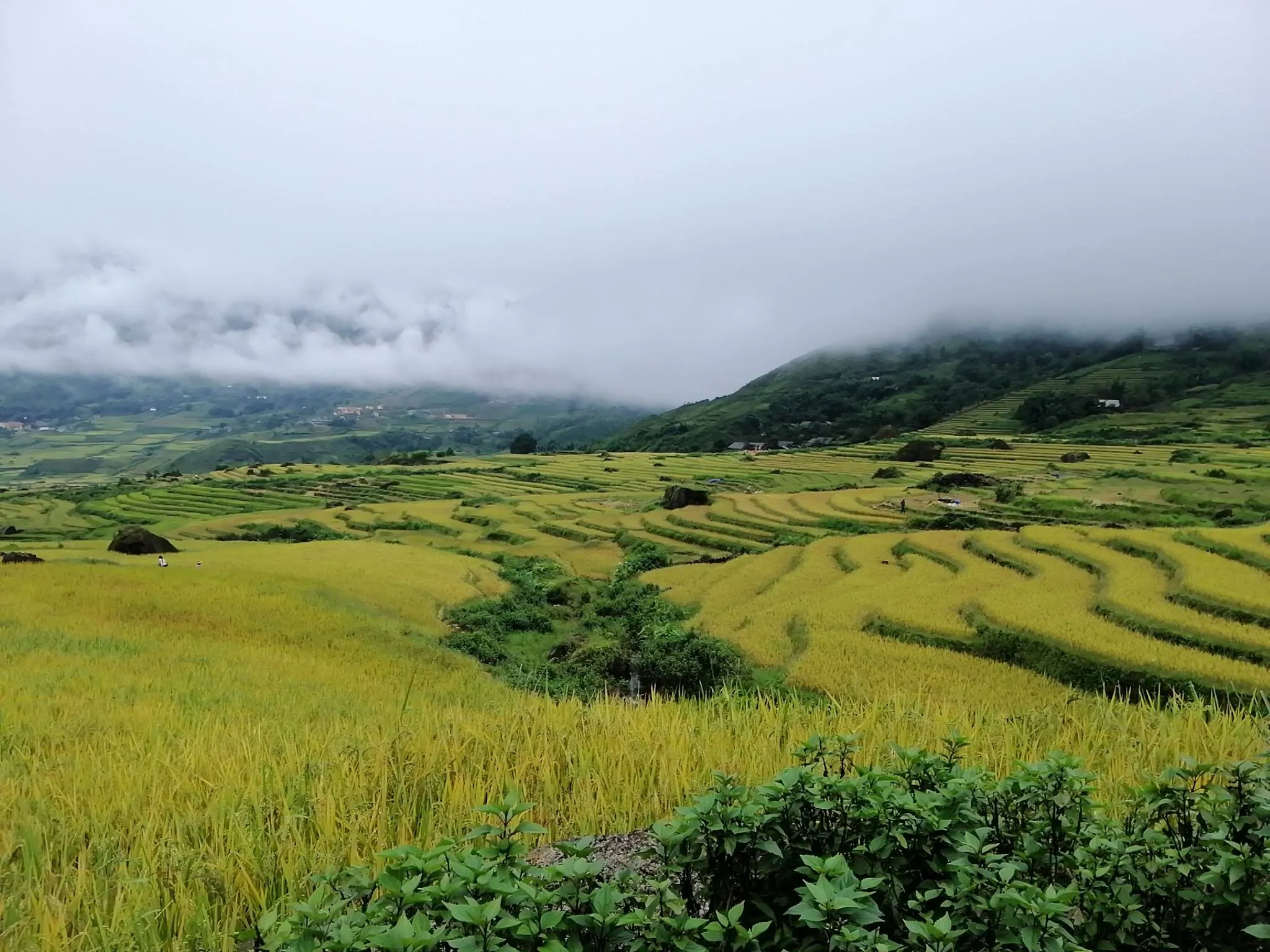 The View Sapa Hotel với tầm nhìn dãy núi Hoàng Liên Sơn hùng vĩ