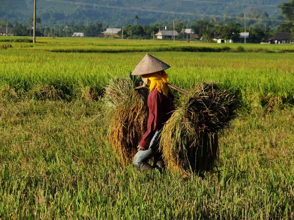 Thỏa sức tung hoành với Lịch trình khám phá Yên Bái 2N1Đ tự túc của MIA.vn