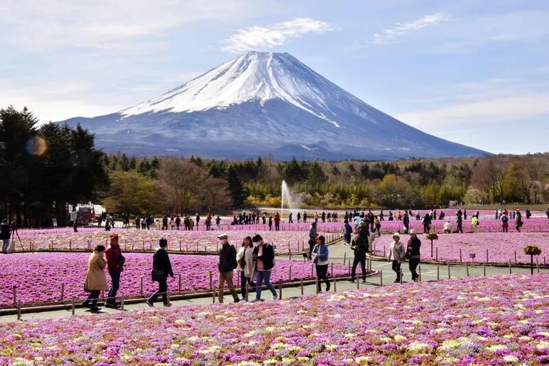 Yamanashi quê hương của ngọn núi Phú Sĩ Nhật Bản