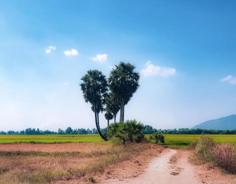 1 ngày ở An Giang và các hoạt động bạn không nên bỏ lỡ