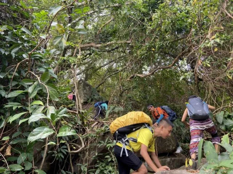 12 Địa điểm trekking cực đáng trải nghiệm của nước ta