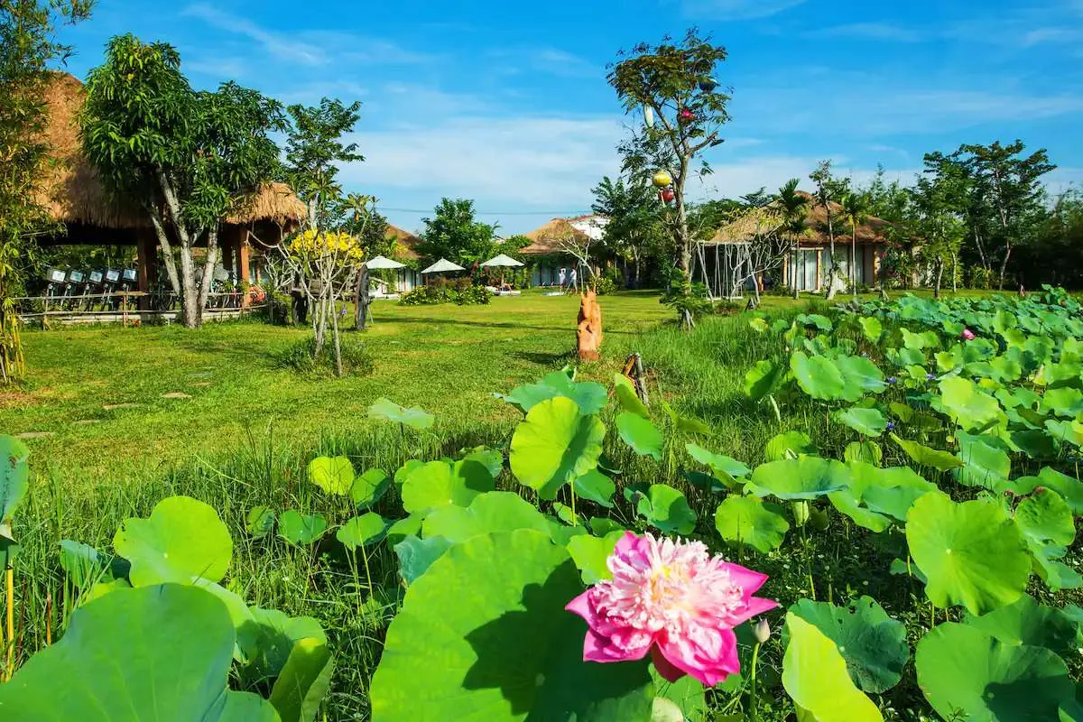 Allamanda Estate Hoi An – Khoảng không gian thiên nhiên thơ mộng và yên bình