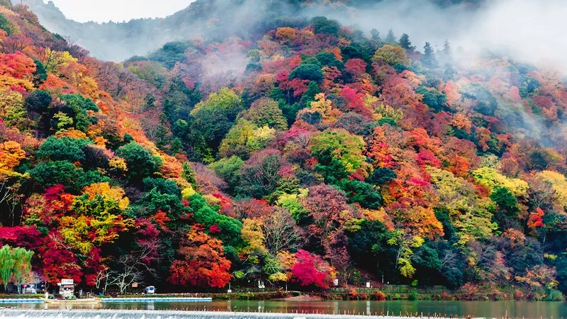 Arashiyama nơi tụ hội những viên ngọc tự nhiên tại Kyoto