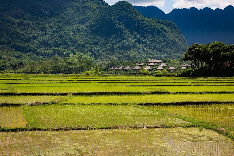 Bản Lác Mai Châu với vẻ đẹp bất tận thu hút bao người