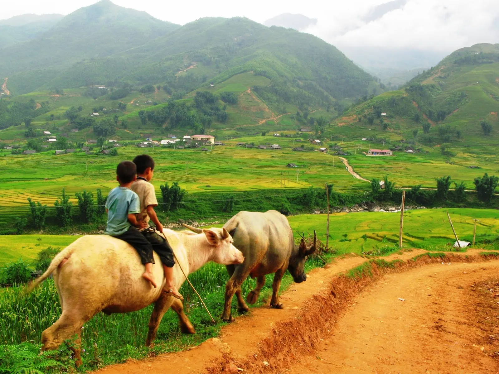 Bản Tả Phìn – Bản làng hoang sơ, mộc mạc giữa núi rừng Tây Bắc