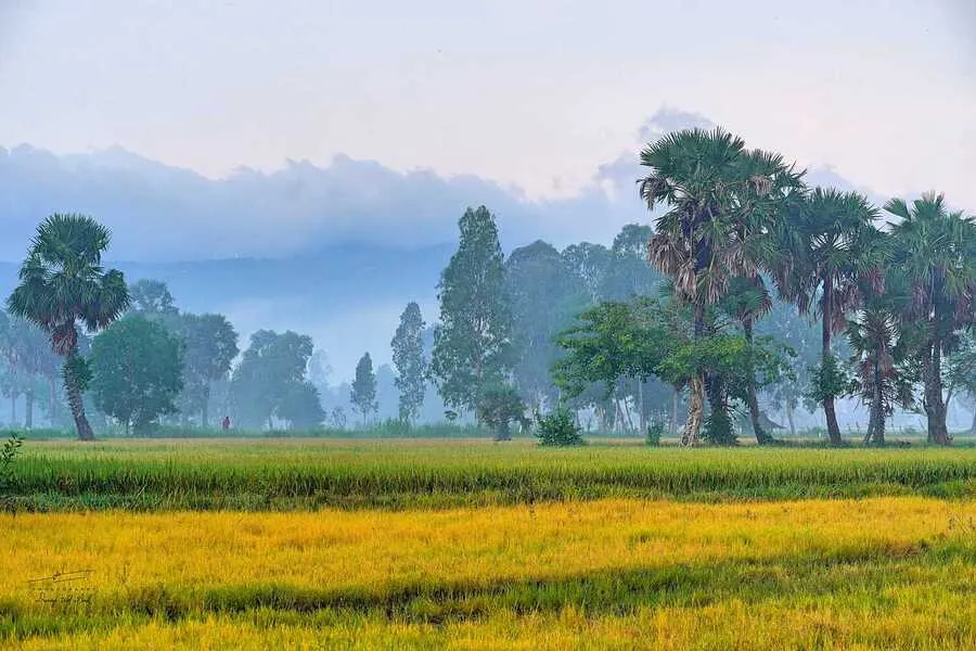 Bình minh vùng Bảy Núi, không gian huyền diệu trong sớm tinh mơ