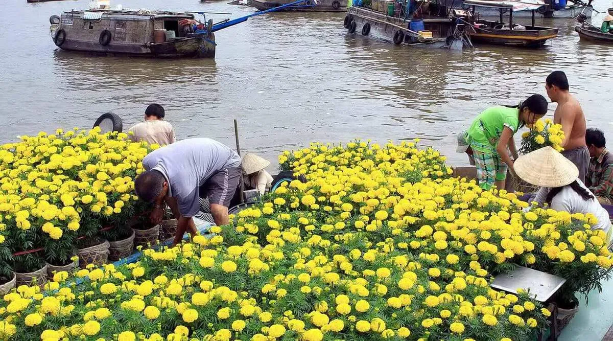 Bỏ túi Kinh nghiệm đi Cần Thơ tự túc chi tiết nhất