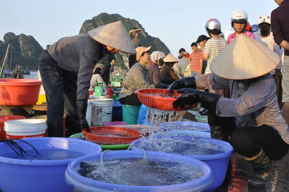 Bỏ túi Kinh nghiệm du lịch Phan Thiết cho dân đam mê xê dịch