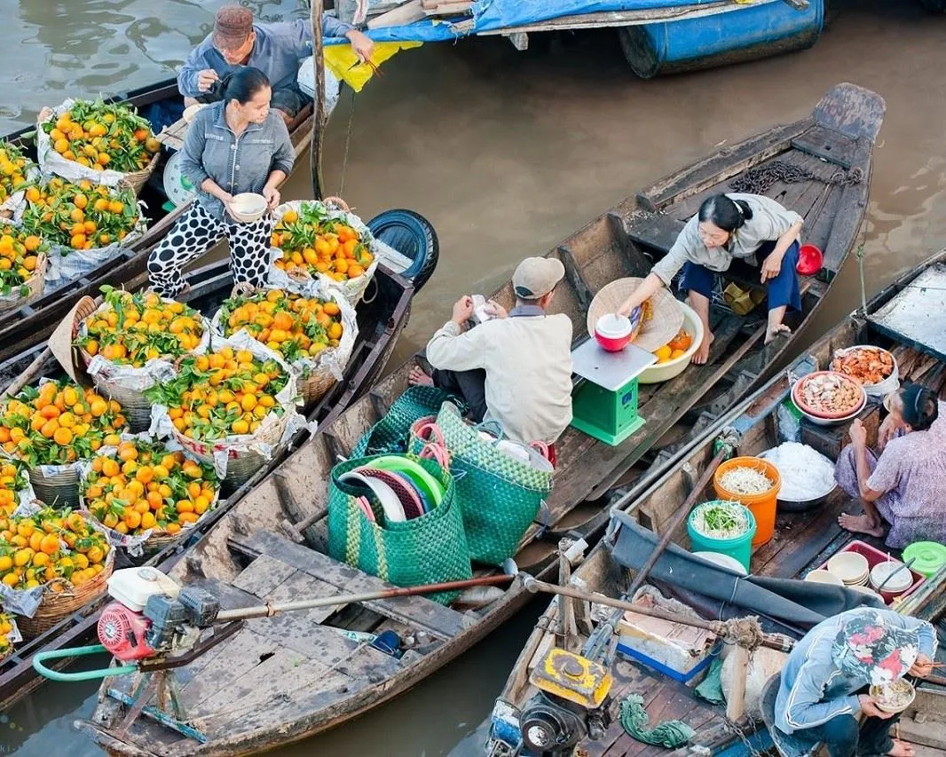 Bỏ túi ngay Kinh nghiệm đi Cần Thơ tự túc siêu chi tiết