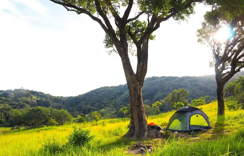 Bỏ túi ngay và luôn kinh nghiệm trekking Núi Chúa tự túc