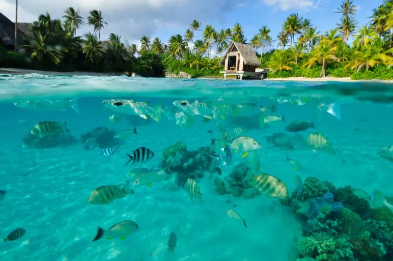 Bora Bora, viên ngọc quý ngoài khơi xa Nam Thái Bình Dương