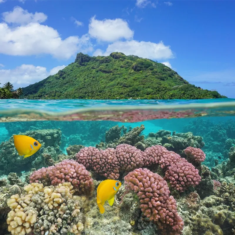 Bora Bora, viên ngọc quý ngoài khơi xa Nam Thái Bình Dương