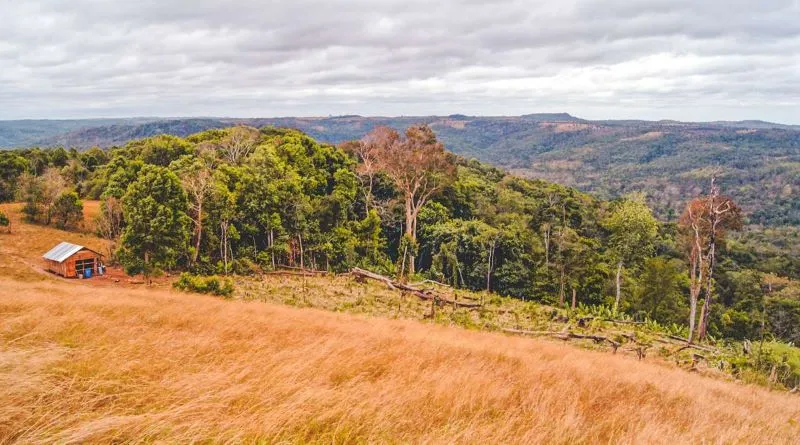 Cao nguyên Mondulkiri với vẻ đẹp hoang sơ của chốn đại ngàn