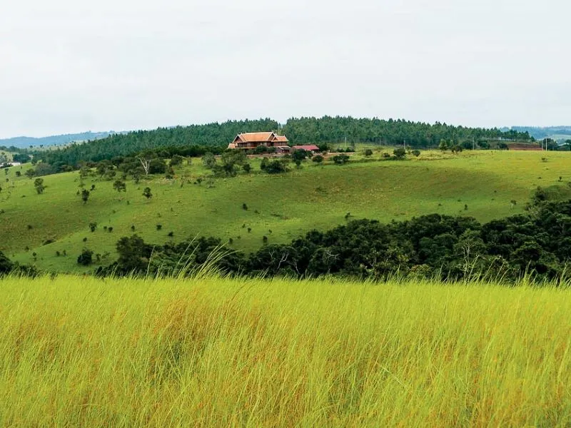 Cao nguyên Mondulkiri với vẻ đẹp hoang sơ của chốn đại ngàn