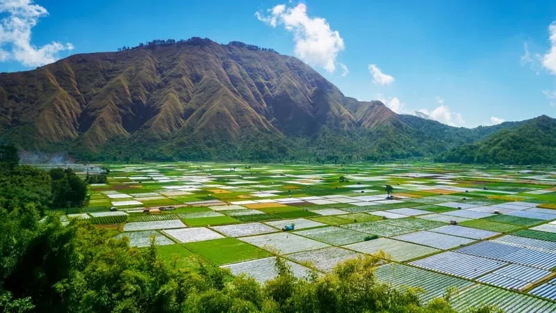 Chinh phục Đảo Lombok Indonesia với khung cảnh thiên đường