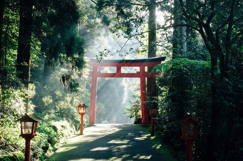 Cổng Torii Nhật Bản nơi dẫn lối đến với các vị thần