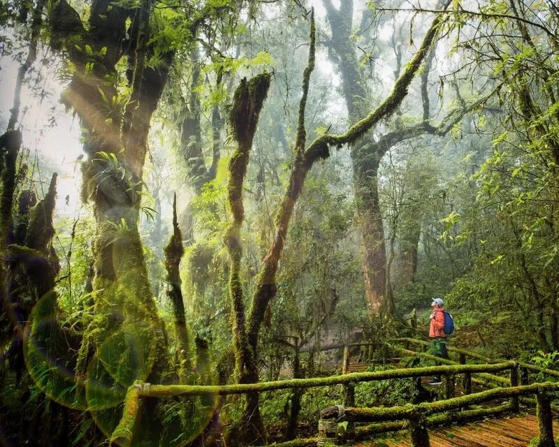 Công viên Quốc gia Doi Inthanon mái nhà của Thái Lan tại Chiang Mai