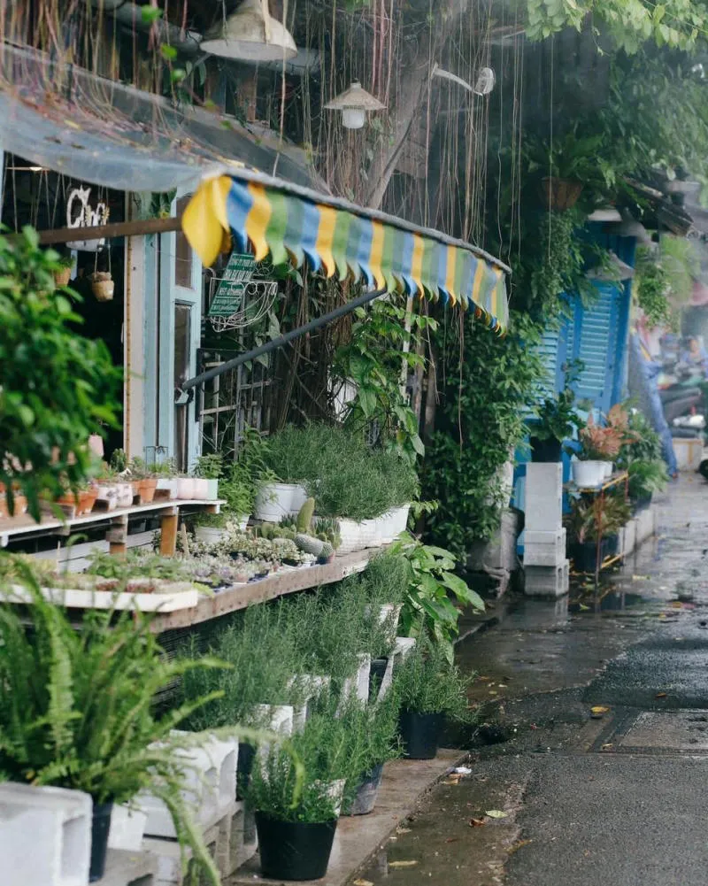 Cú Trên Cây Coffee, quán cà phê với không gian xanh độc đáo