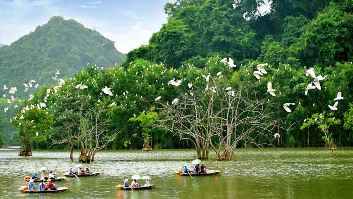 Cùng MIA.vn mở ra 7 địa điểm khám phá Ninh Bình buổi sáng