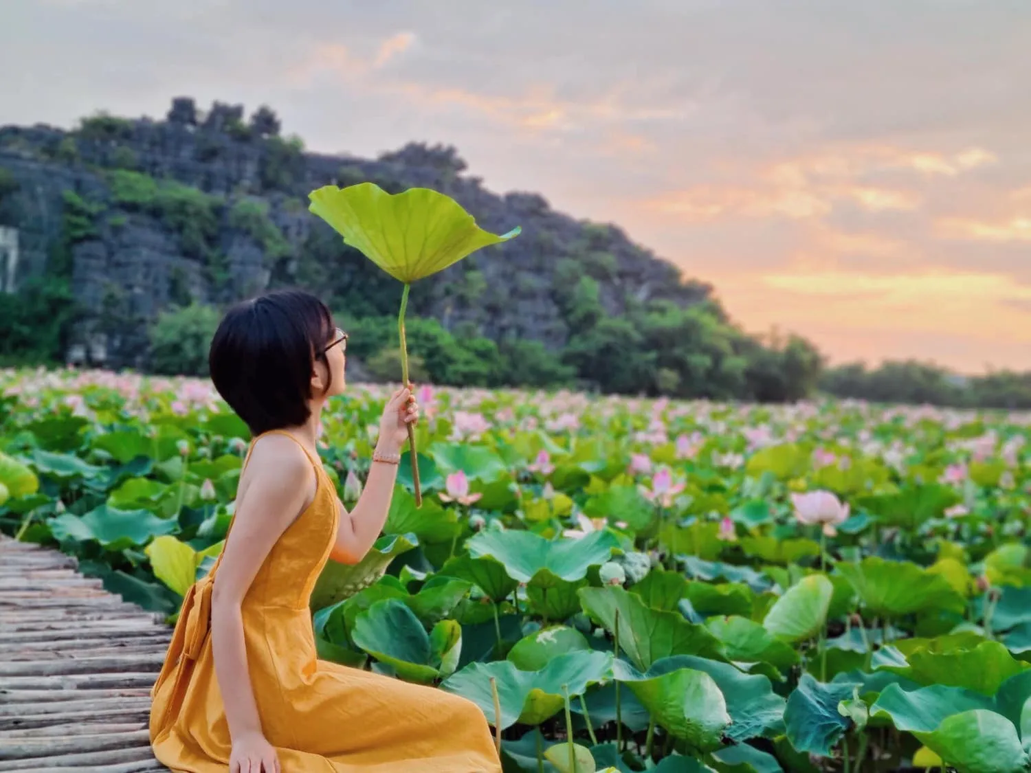 Đầm sen Hang Múa Ninh Bình nên thơ qua ống kính cô nàng Lâm Hy