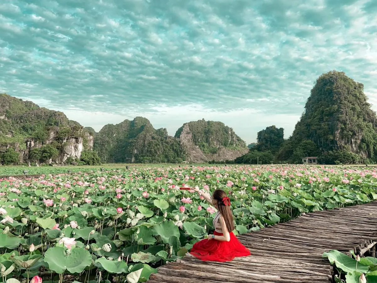 Đầm sen Hang Múa Ninh Bình nên thơ qua ống kính cô nàng Lâm Hy