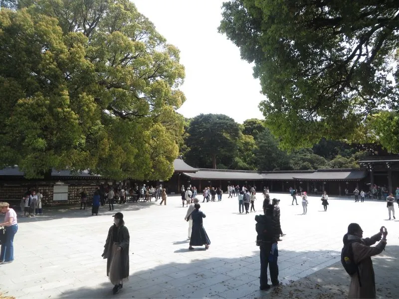 Dạo bước quanh ngôi đền Meiji Jingu đầy linh thiêng của Nhật Bản