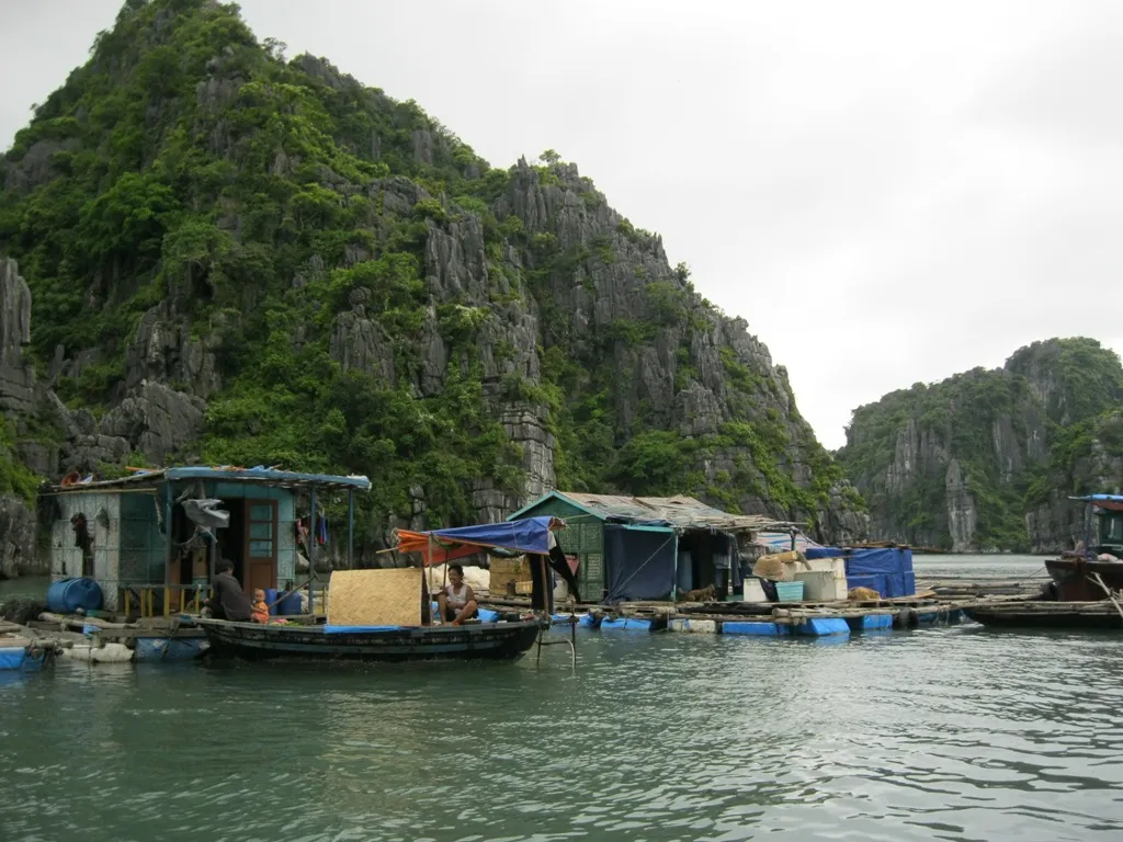 Đặt chân đến làng chài Ba Hang – Nhỏ bé, yên bình và thơ mộng