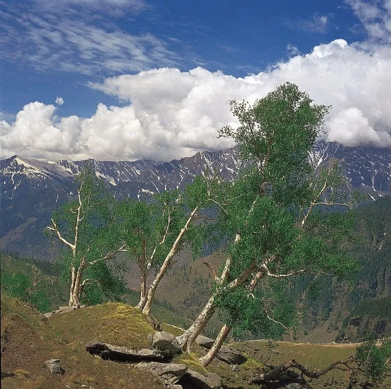 Dãy Himalaya như bức tường thành uy nghi trên cao nguyên Tây Tạng