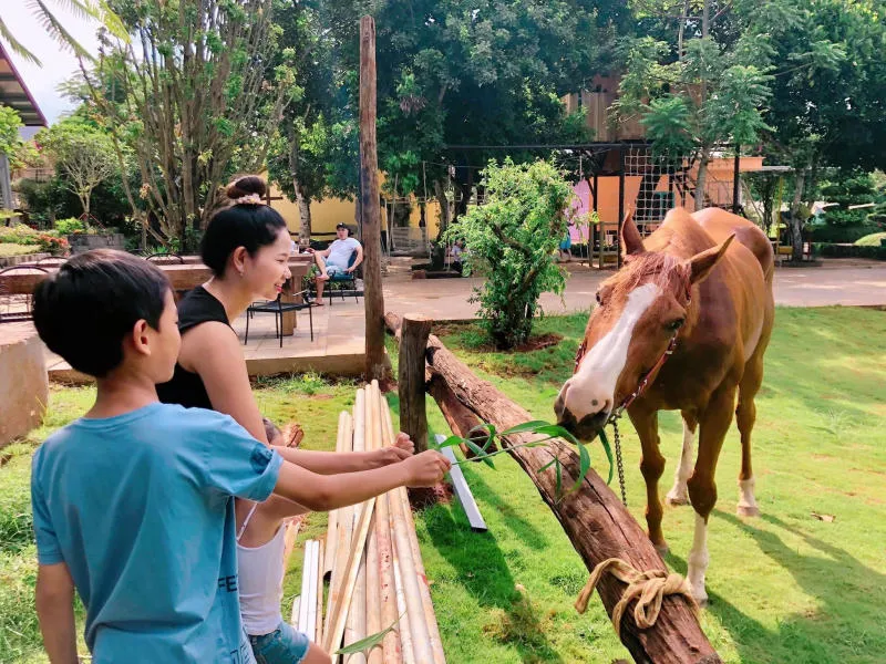 Đến Greenfield Farmstay trải nghiệm cuộc sống nông thôn