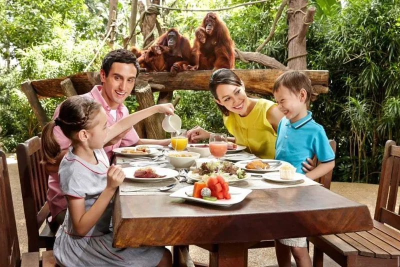 Đến Singapore Zoo thăm hai bạn ‘quốc bảo’ gấu trúc đáng yêu